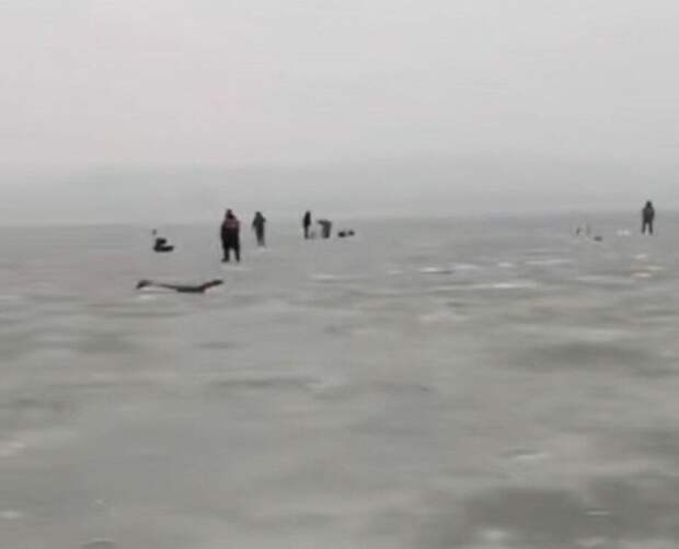 Рыбаки в Приморье проваливаются под лёд прямо на глазах очевидцев