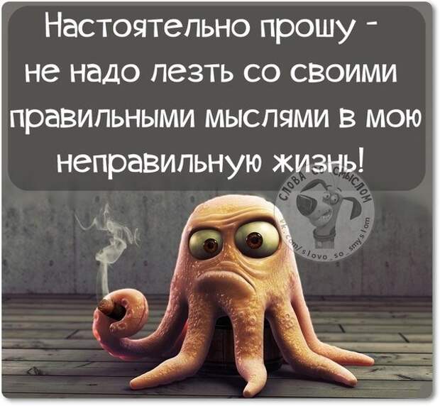 Интересные, стёбные и позитивные фразочки со смыслом (29 фото) Интересные, стёбные и позитивные фразочки со смыслом (29 фото)