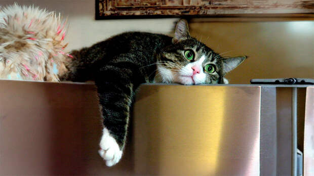 источник фото: amworld.ru