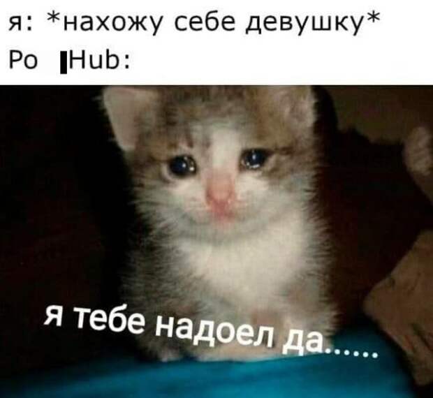 Мемы и приколы про 