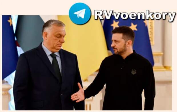 Зеленский вступил в перепалку с властями Венгрии | Русская весна