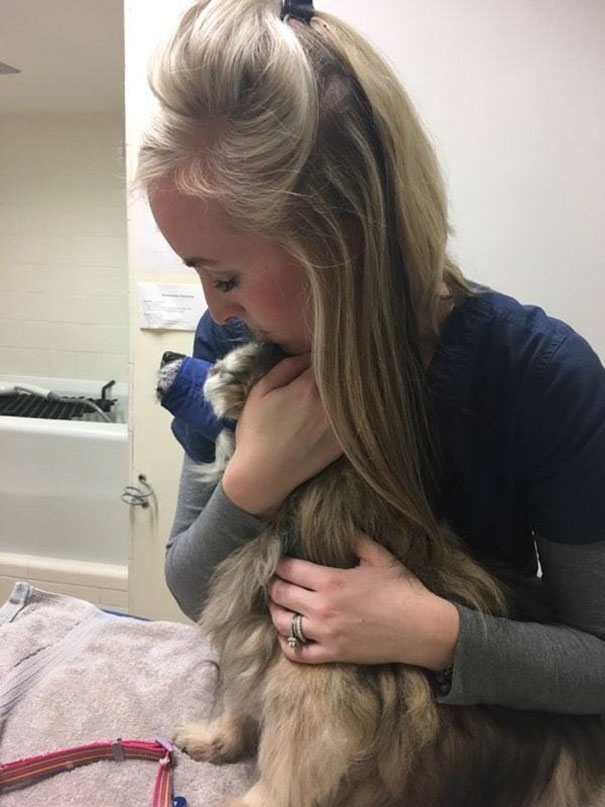 woman-saves-senior-dog-jaripo-6