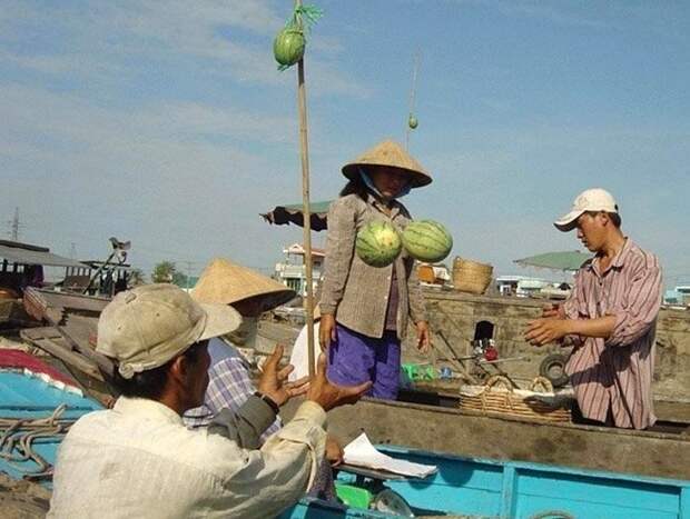 Какие арбузы! Какие арбузы! момент, фотография