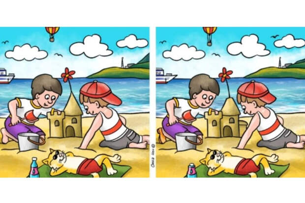 Кот в очках, ребята и замок: найдите 11 отличий за 33 секунды