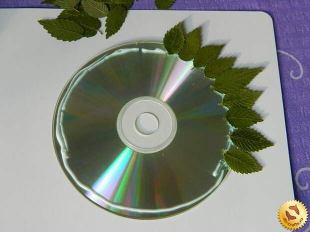 Panno-iz-suhih-listev-na-cd-diske 2