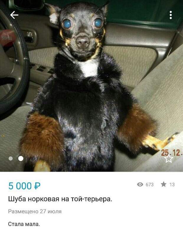 Смешные картинки с надписями
