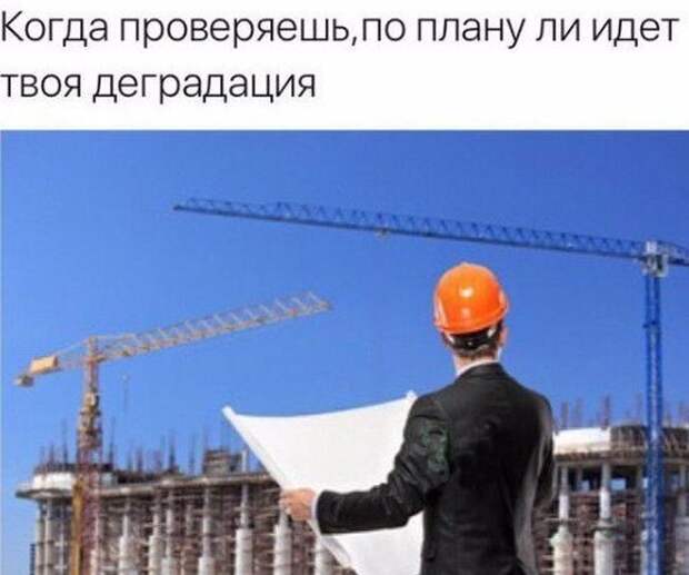 Смешные картинки дня