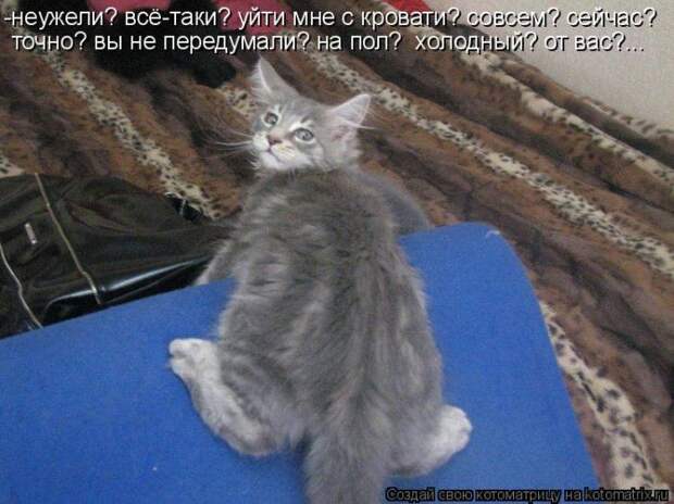 Мысли вслух :)