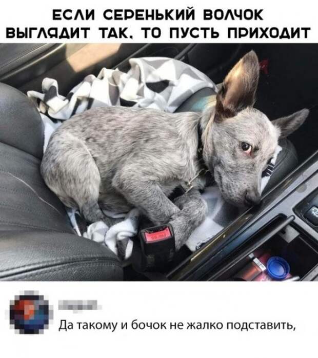 Юмор и приколы из социальных сетей