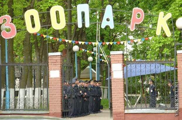 Добро пожаловать в зоопарк!
