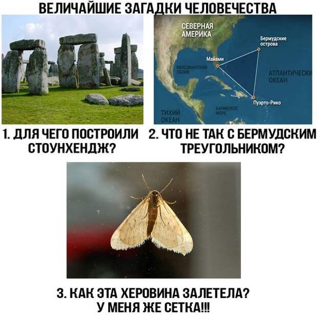 Прикольные картинки картинки из сети, прикол, юмор
