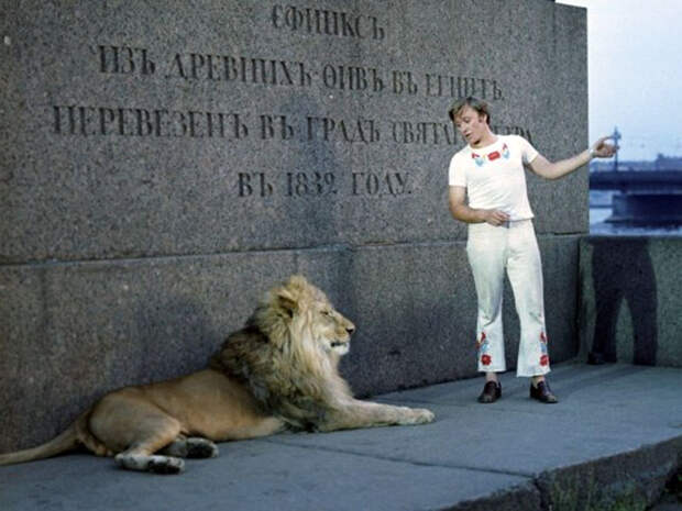 6 знаменитых актеров-животных, которые затмили людей в кадре