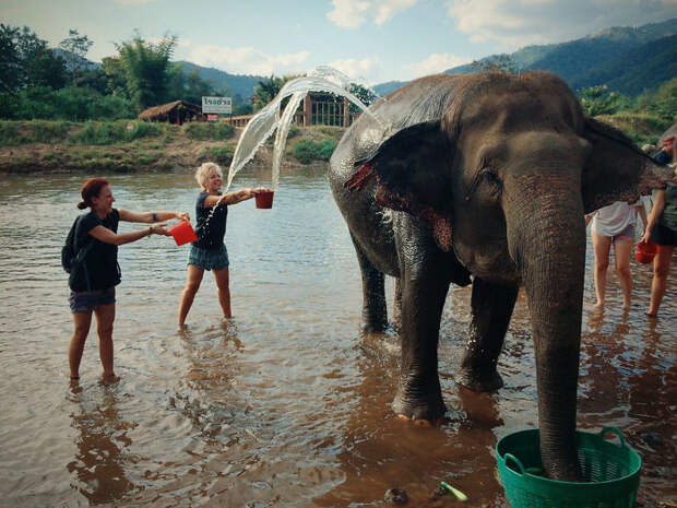 Больше всего нам нравилось помогать слонам принимать дневной душ в речке. заповедник, слон, слоны, таиланд