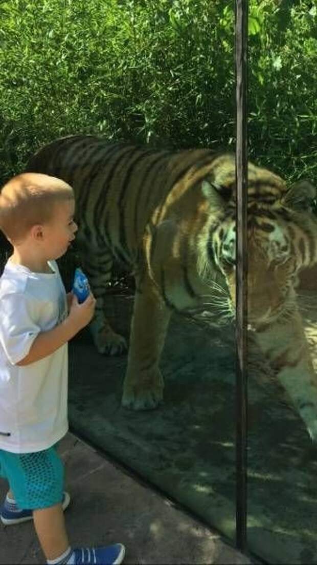Прикольные картинки абавсём:D (12.08.16)