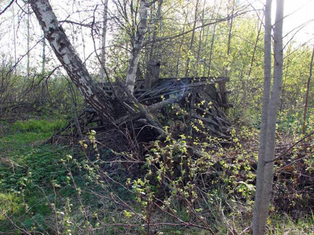 Локнянская поляна и проклятая деревенька в Псковской области