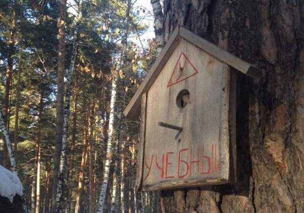 Прикольные картинки. Вечерний выпуск (53 фото)