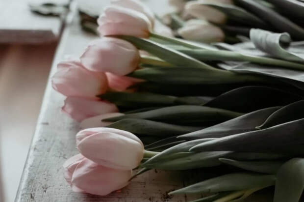 Флорист Соколова объяснила, как сохранить букет свежим надолго