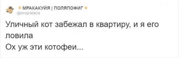 Тред в Твиттере: расскажите про свои самые нелепые отговорки за опоздания