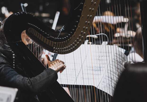 Симфонический оркестр поможет петербуржцам прочувствовать «Покой и Радость» через искусство