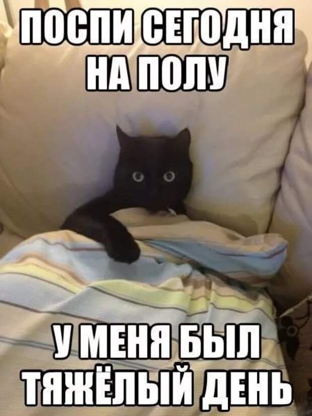 Юмор и приколы из социальных сетей