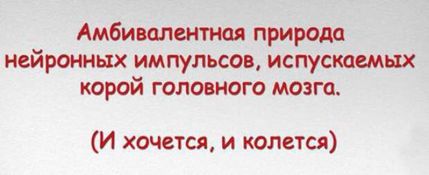 Пословицы и поговорки научным языком