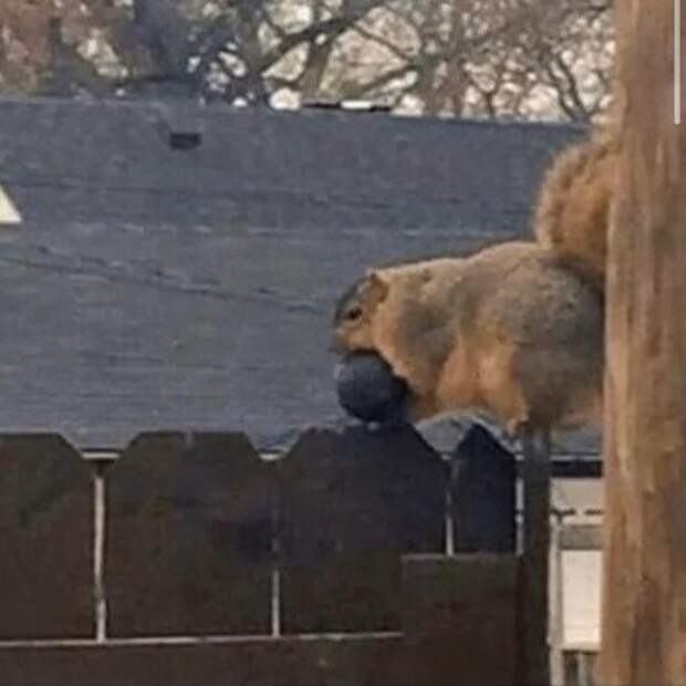 К зиме готова! К зиме готова!