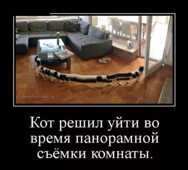Прикольные демотиваторы с надписями. Подборка chert-poberi-dem-chert-poberi-dem-53180208062020-9 картинка chert-poberi-dem-53180208062020-9