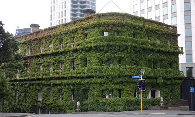 Утопающие в зелени: здания и сооружения, которые полностью слились с природой Зелены, здания, эстетика