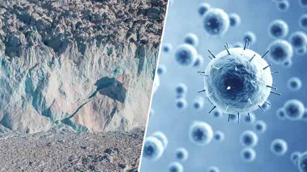 «Найти решение ради выживания»: нобелевский лауреат — о появлении доисторических вирусов из-за изменения климата