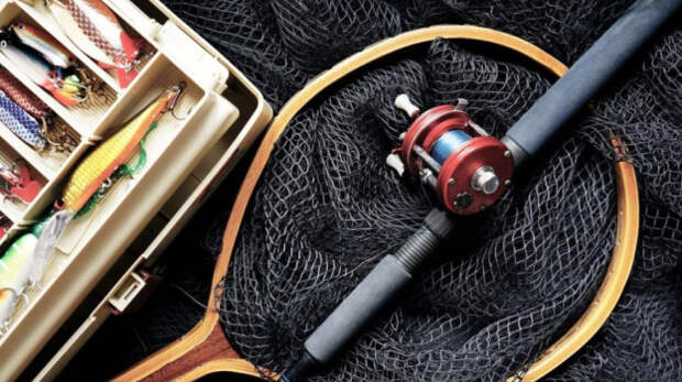 В Чёрном море зафиксирован рекордный объём добычи хамсы по итогам 2025 года