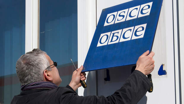 Россия покинула заседание ПА ОБСЕ в знак протеста против нарушения регламента