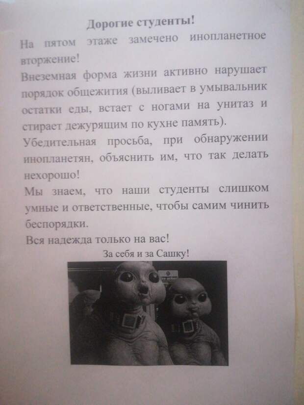 kartinok-prikolnyh-podborka-kartinki-smeshnye-kartinki-fotoprikoly