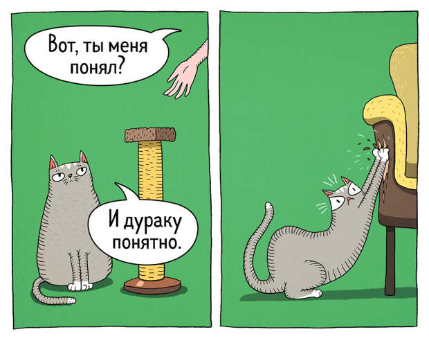 14 комиксов о том, что коты — самые противоречивые создания на планете