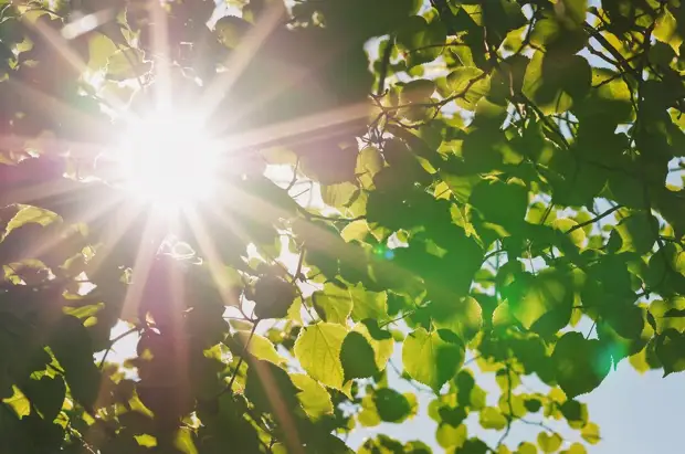 Вильфанд сообщил о погоде на Пасху