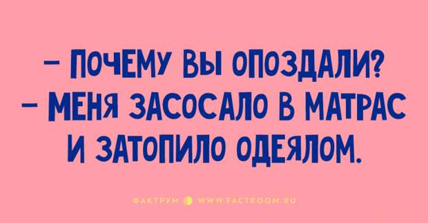 Десятка свежих и классных анекдотов