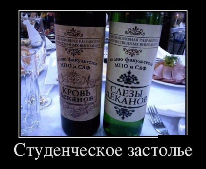 Демотиваторы