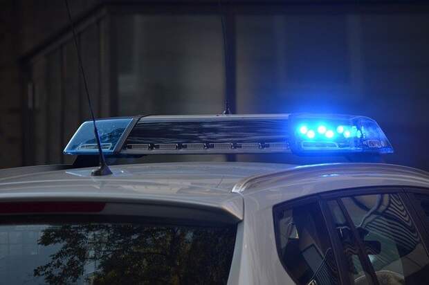 Жителя Хорошёво-Мнёвников убили по заказу бывшего тестя