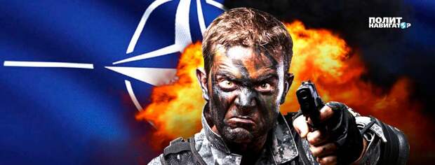 НАТО переходит к отработке действий на территории Украины