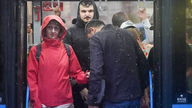 Синоптики предупредили москвичей о прохладной и дождливой погоде 2 октября
