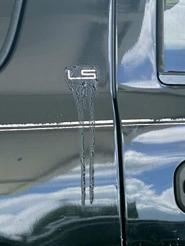 Автовсячина