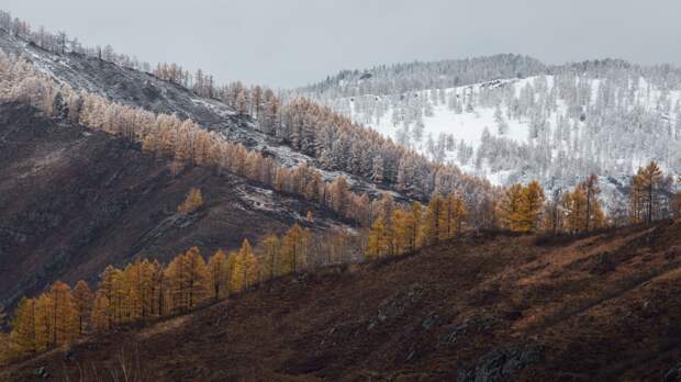 Осенний Алтай