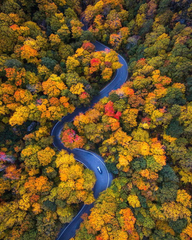 13 снимков осеннего леса в США