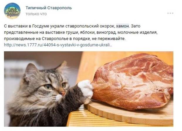 Тем временем в Ставрополе госдума, мясо, новость, прикол, россия, свинья, хамон, юмор