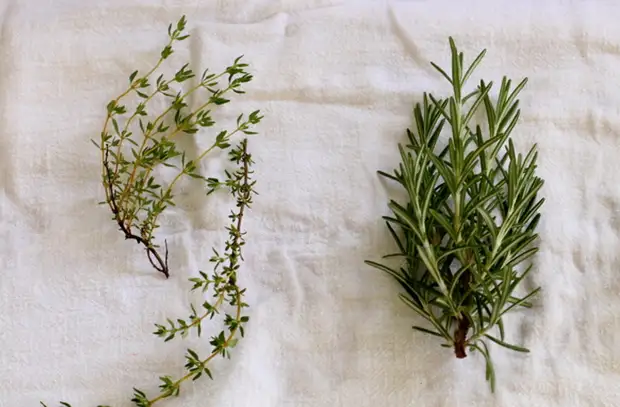 Сохраняем зелень свежей максимально долго. Вместо 2-3 дней не увядает неделями