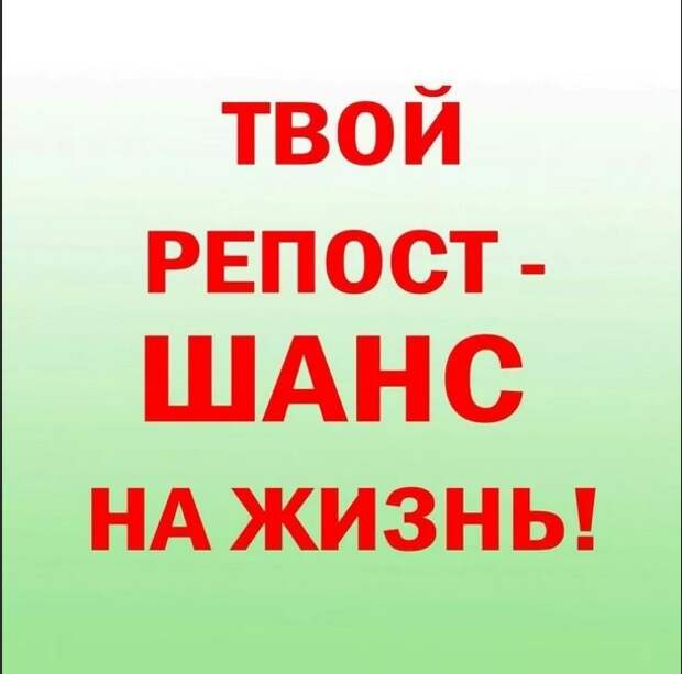 Для их спасения осталось совсем мало времени... Откликнитесь! Помогите!