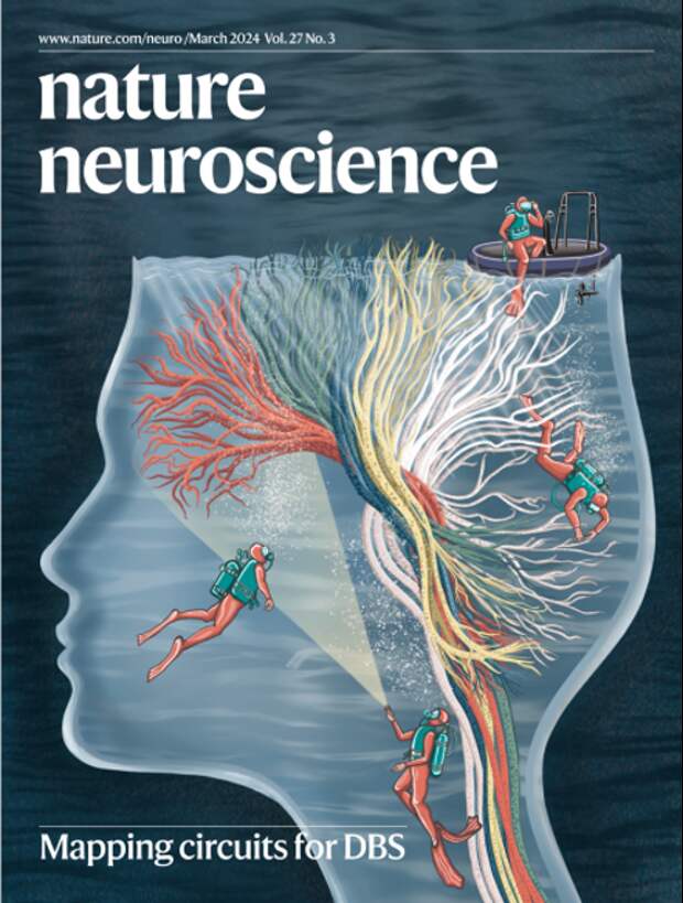 Нейромарт 2024: нейронауки в Nature Neuroscience