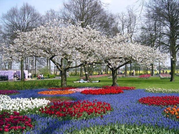 Keukenhof, голландский парк цветущей весны