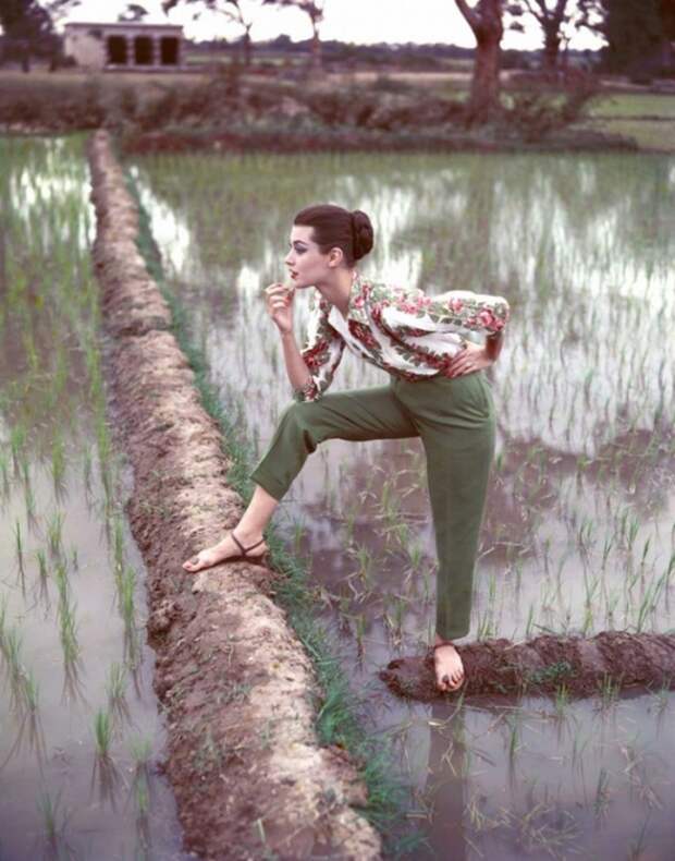 Актриса Барбара Маллен, 1956 год. Норман Паркинсон (Norman Parkinson) - мастер модной фотографии.