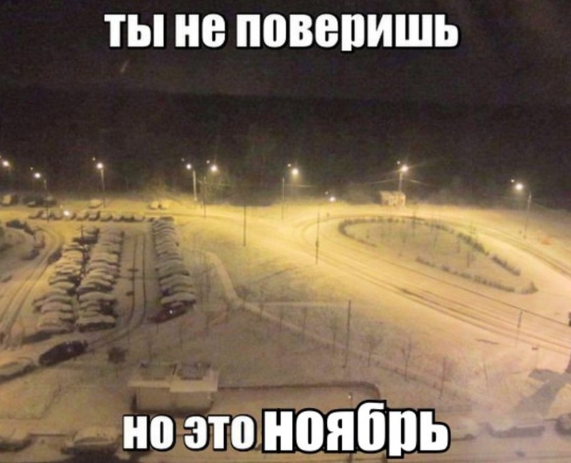 Смешные картинки с надписями прикол, юмор