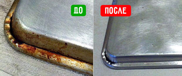 противень